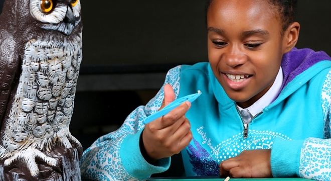 Hiring Event Graphic2