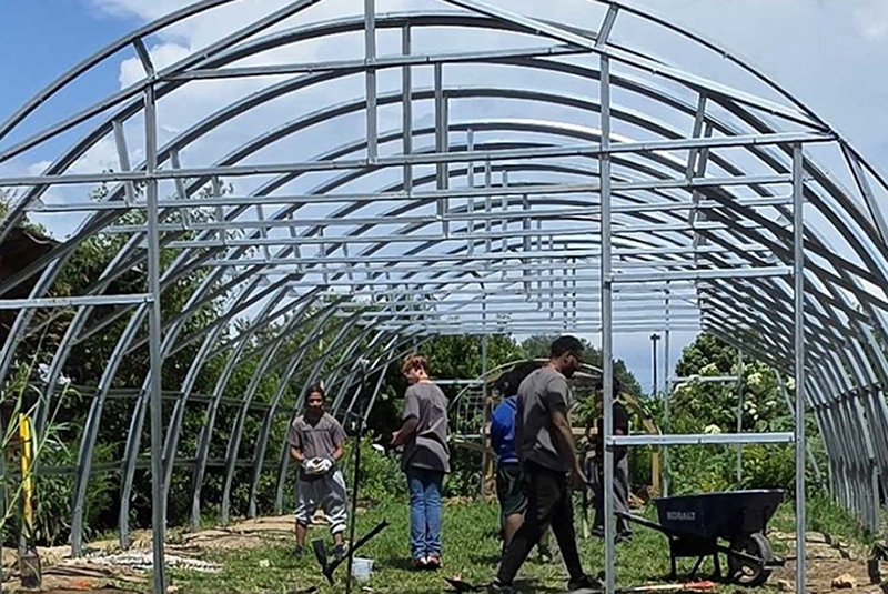 Greenhouse 2